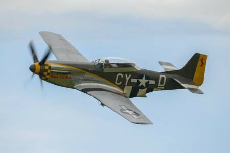 Fighter, Mustang, P-51D, Single