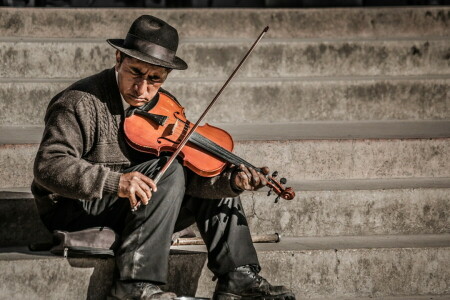 Music, musician, violin