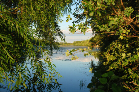 lago, paesaggio, fiume, alberi, acqua