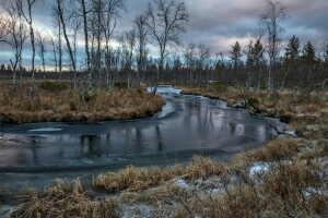 natur, elv, vinter