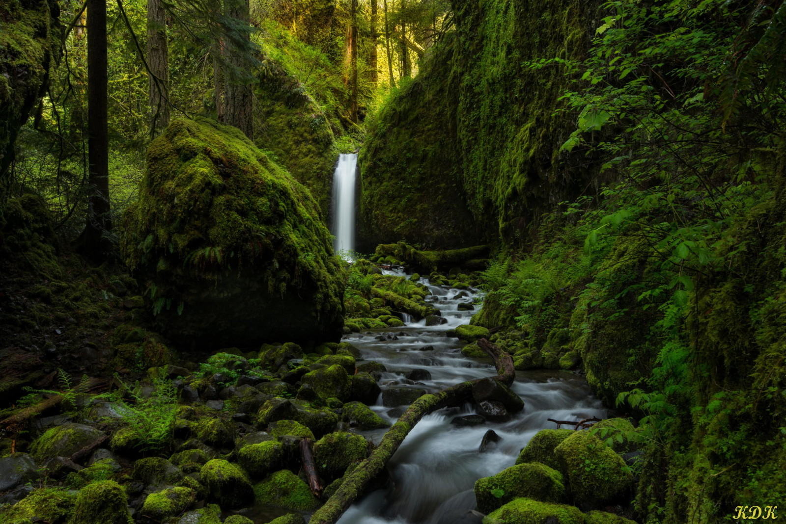 foresta, natura, fiume, pietre, cascata, verdura