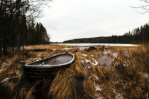 łódź, jezioro, Natura