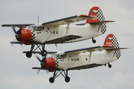 An-2, Doppeldecker, einfach, Flug, Mehrzweck, das Flugzeug