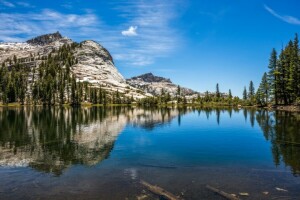 Woud, meer, landschap, bergen, natuur, reflectie