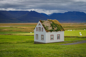 gras, huis, IJsland, bergen, natuur, dak, SOD-house