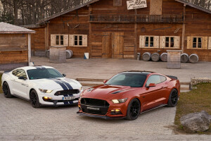 Vad, Geiger, Mustang