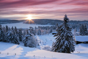 morgon-, snö, vinter-