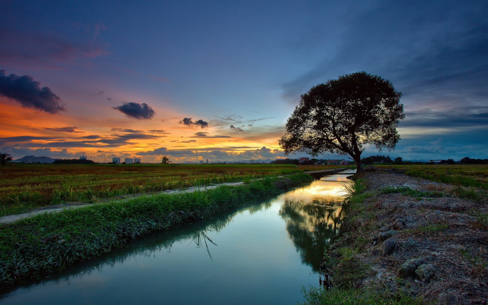 Baum, Fluss, Sonnenuntergang, Landschaft