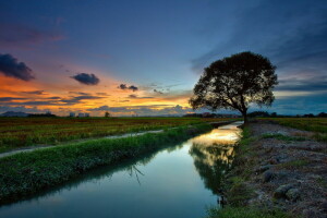 paesaggio, fiume, tramonto, albero