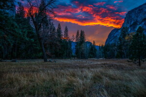 forest, mountains, nature, Park, sunset, trees