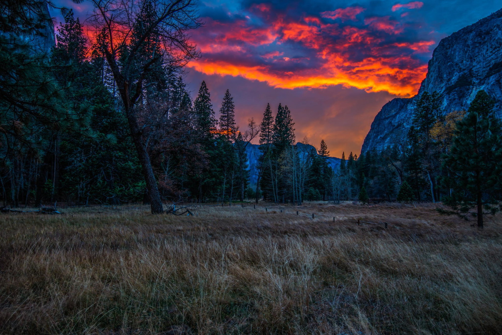 Wald, Natur, Park, Sonnenuntergang, Bäume, Berge