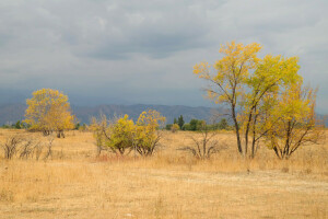 outono, nuvens, campo, Relva, montanhas, o céu, árvores