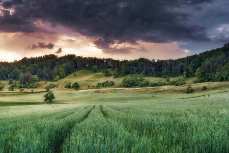 felt, natur, sommer, himmelen