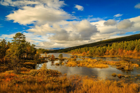 otoño, nubes, montañas, Noruega, río, arboles