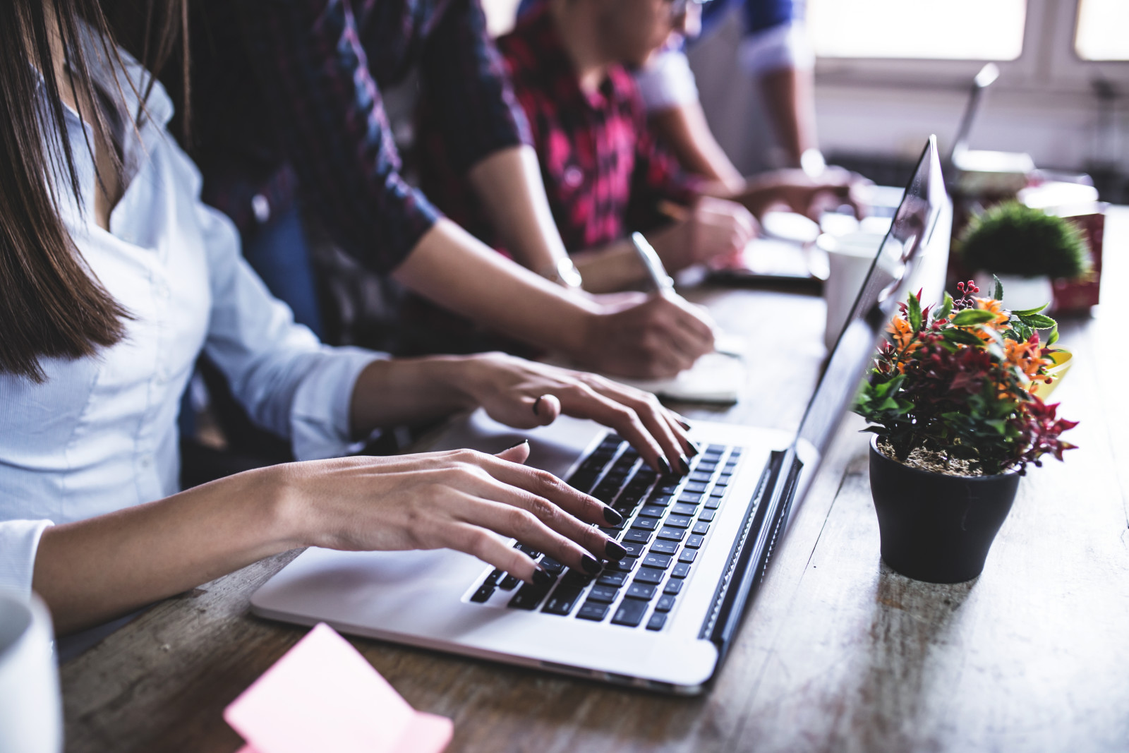 Tabelle, Laptop, Finger, Blumen