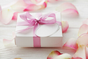 delicate, gift, heart, love, petals, pink, romantic, rose