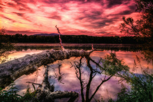 nubes, lago, montañas, puesta de sol, el cielo, árbol