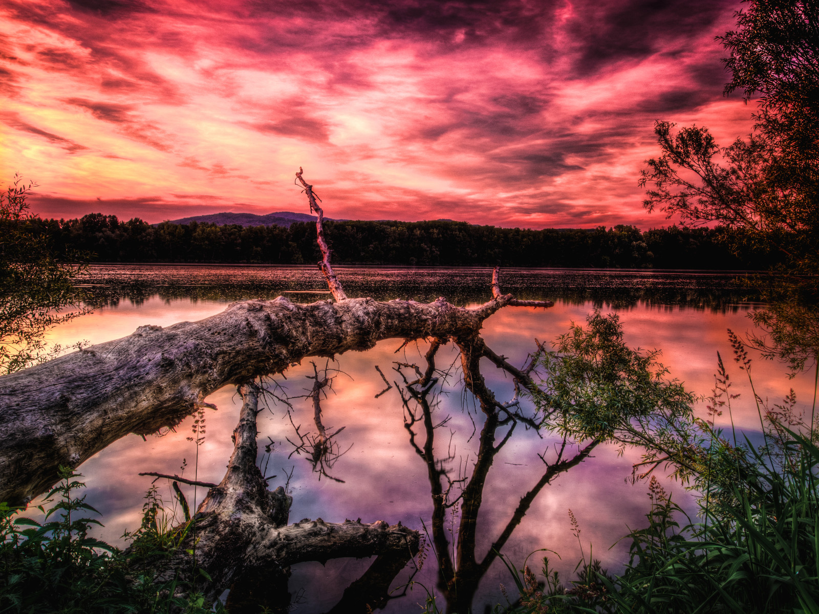 árvore, o céu, lago, pôr do sol, nuvens, montanhas