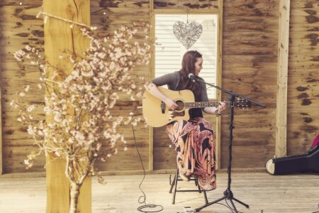 câbles, Cas, fleurs, guitare, cœur, microphone, La musique, musicien