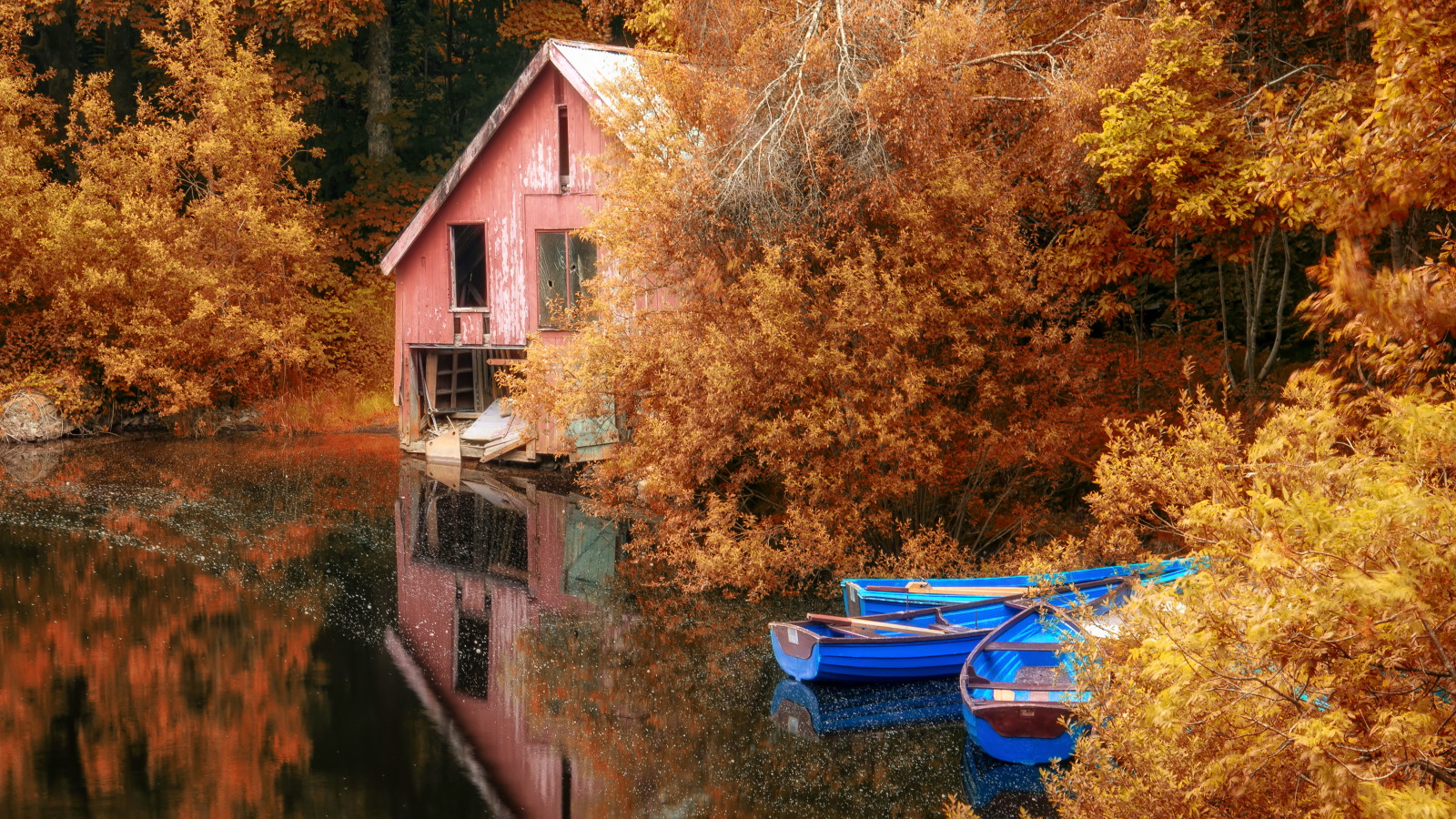 otoño, naturaleza, lago, paisaje, hojas, barcos