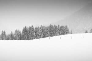 Feld, Schnee, Winter