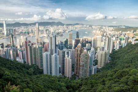 Hong Kong, fjell, panorama, skyskrapere, byen