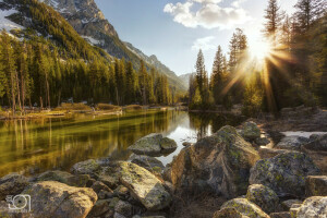 Wald, See, Berge, Nationalpark, Natur, Neuseeland