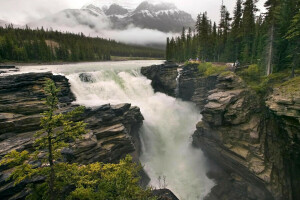 brouillard, forêt, montagnes, rivière, rochers, courant, cascade