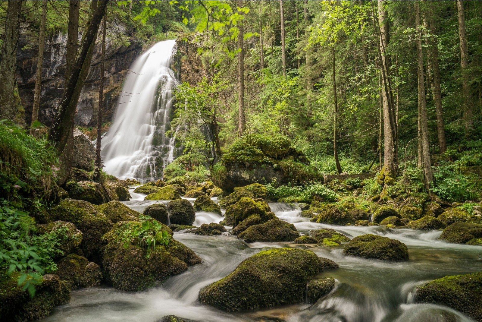 лес, река, камни, деревья, водопад, Австрия, Зальцбург, мох