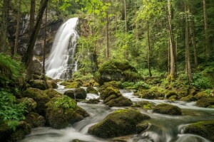 Austria, bosque, Cascada Golling, Cascada Gollinger, musgo, río, Salsburgo, piedras