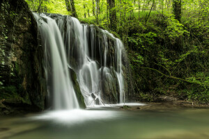 floresta, rio, esguichar, corrente, arvoredos, árvores, cascata