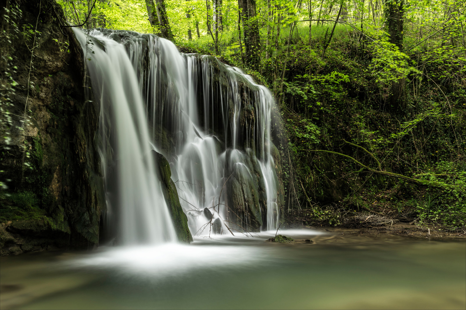 forest, river, trees, waterfall, stream, squirt, thickets