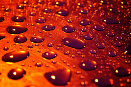 gotas, gotas de chuva, macro, superfície, água