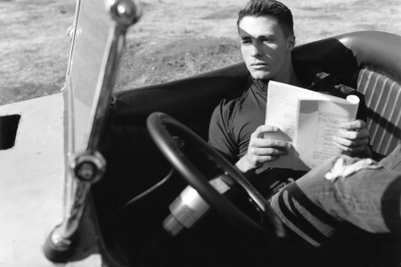 acteur, noir et blanc, voiture, Colton haynes, salon, La roue