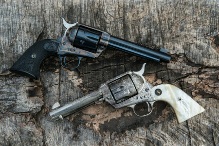 revolvers, the handle, trunks, two, weapons