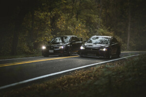 autumn, Evolution, foliage, forest, Front, Lancer, leaves, lights