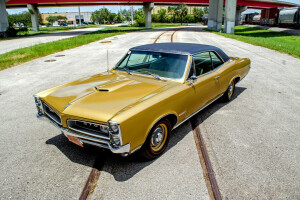 1966, coupe, GTO, Pontiac, Storm