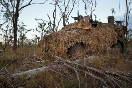 Cão azul, Soldado