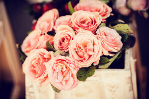 basket, buds, flowers, petals, pink, roses