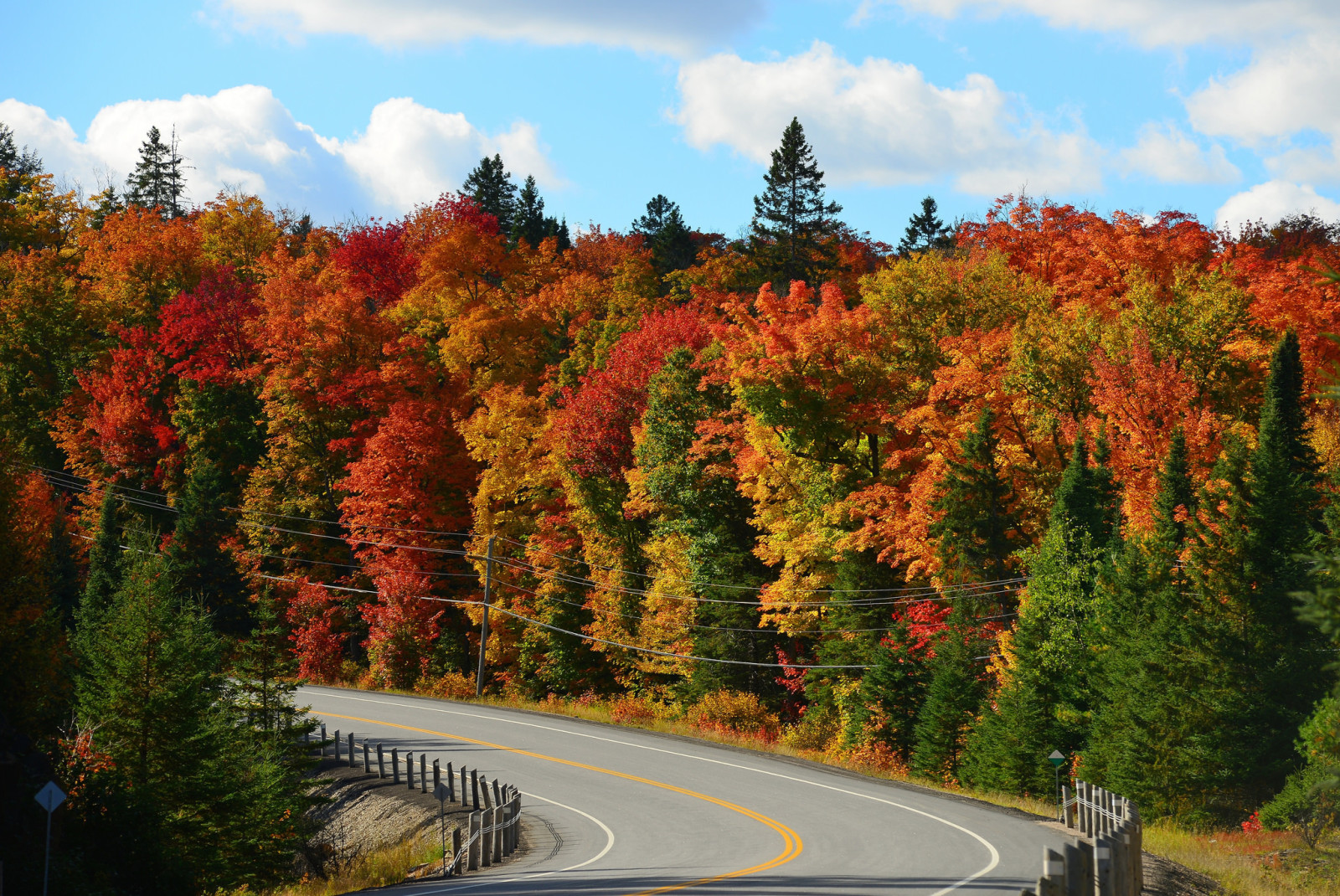 autunno, foresta, il cielo, strada, alberi, nuvole