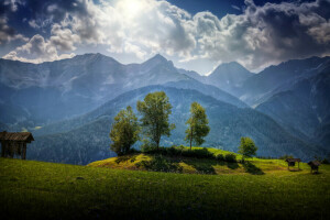 Austria, clouds, forest, glade, grass, greens, HDR, mountains