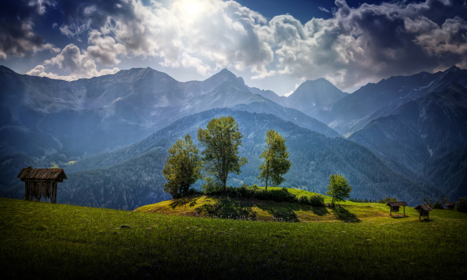 foresta, erba, alberi, verdura, nuvole, montagne, radura, Austria