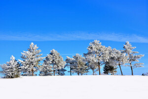 bakke, sne, himlen, træer, vinter