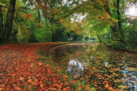 jeseň, park, rieka