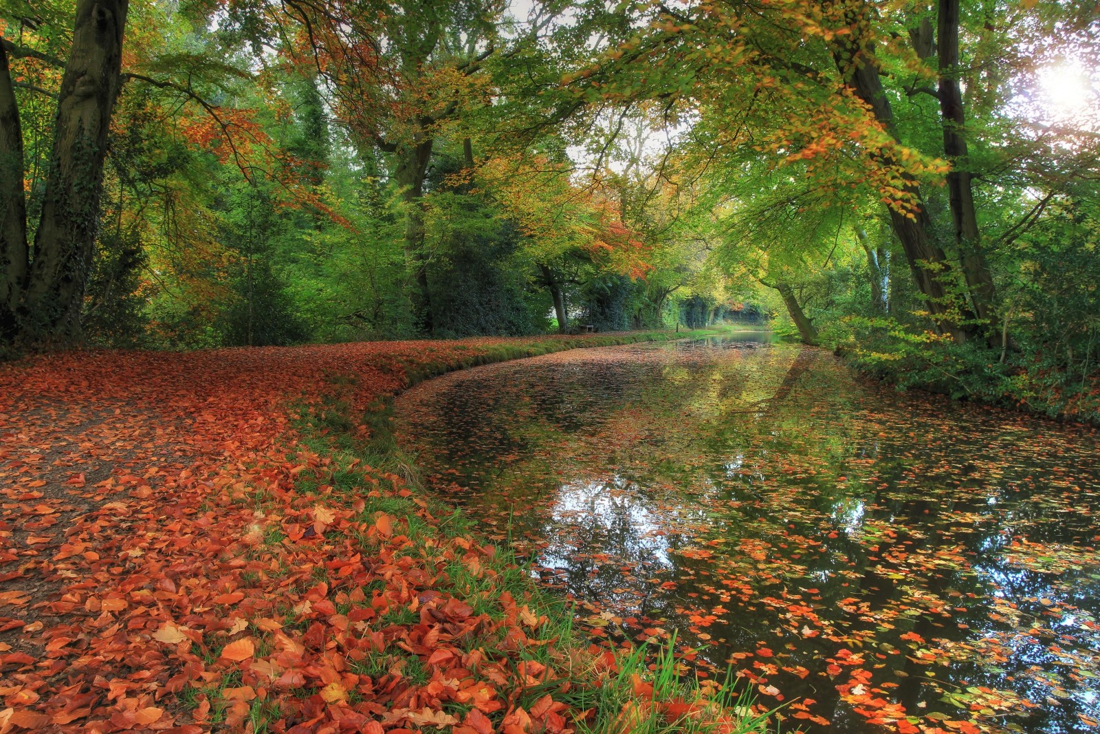 autumn, Park, river