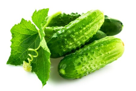 cucumbers, leaf, vegetables