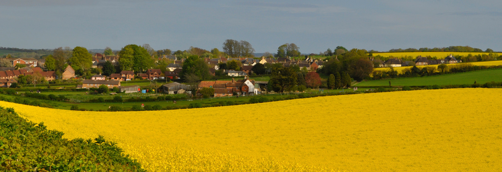 de lucht, veld-, bloemen, huis, dorp, verkrachting