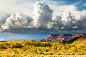 montagne, natura, Parco, Stati Uniti d'America, Parco nazionale di Zion