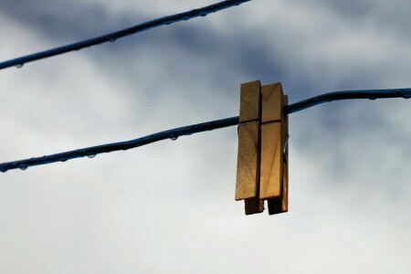 fundal, clothespins, macro