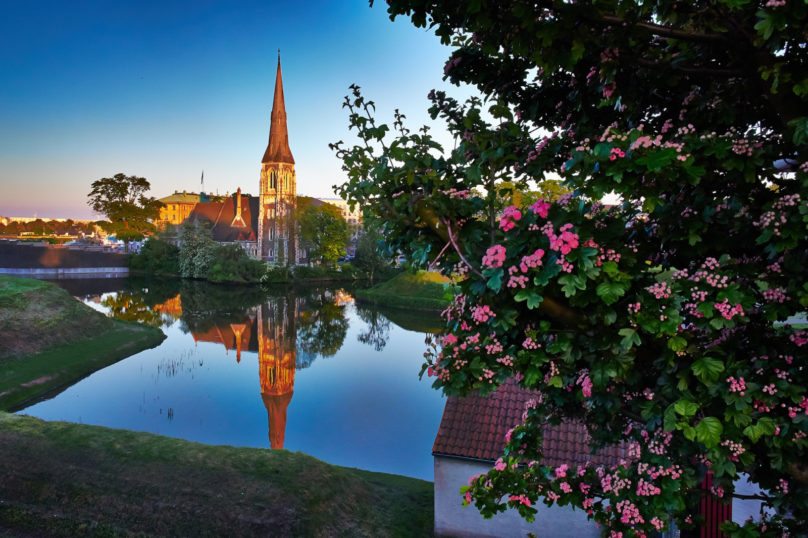 árbol, río, paisaje, reflexión, Iglesia, Dinamarca, Copenhague, Iglesia de san alban